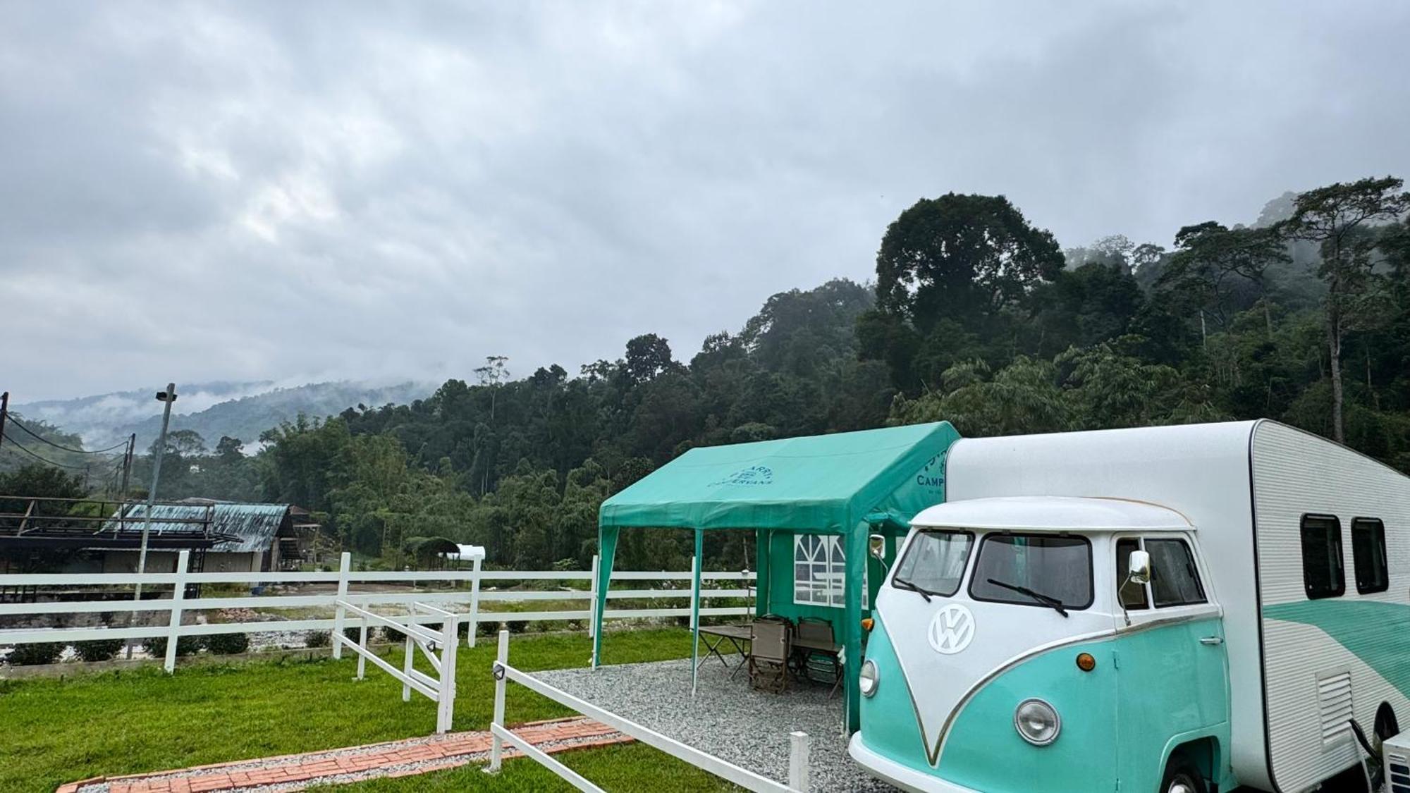 The Starry Campervans *